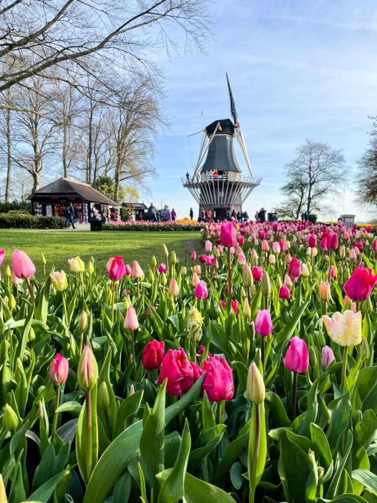 Keukenhof Gardens Amsterdam