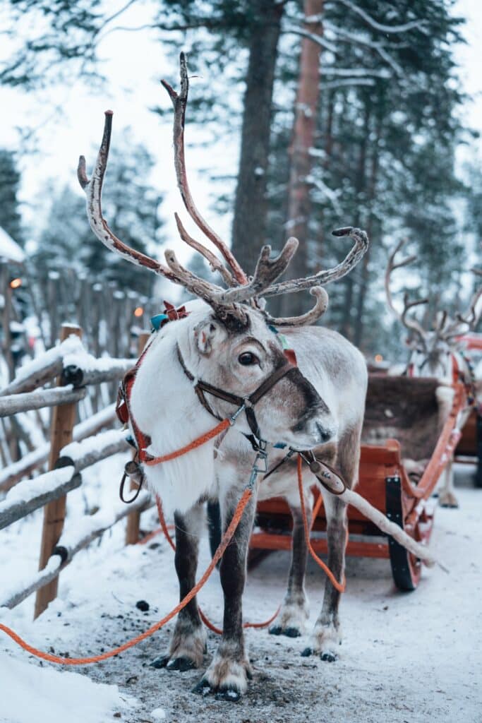 FInnish Lapland