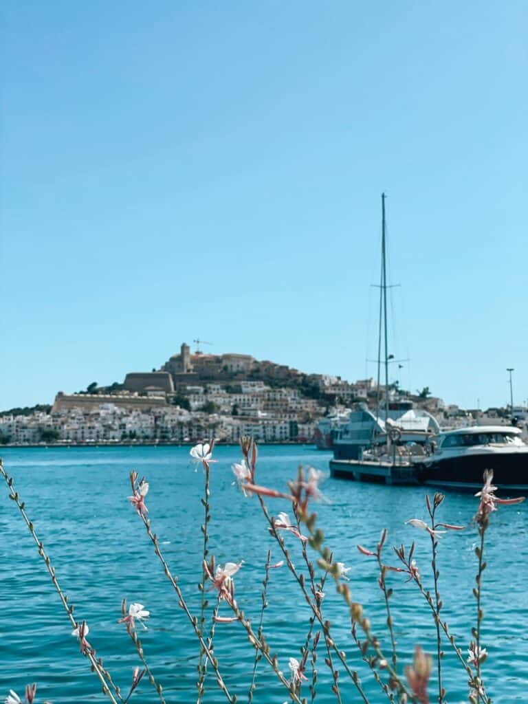 Ibiza travel guide – All you need to know