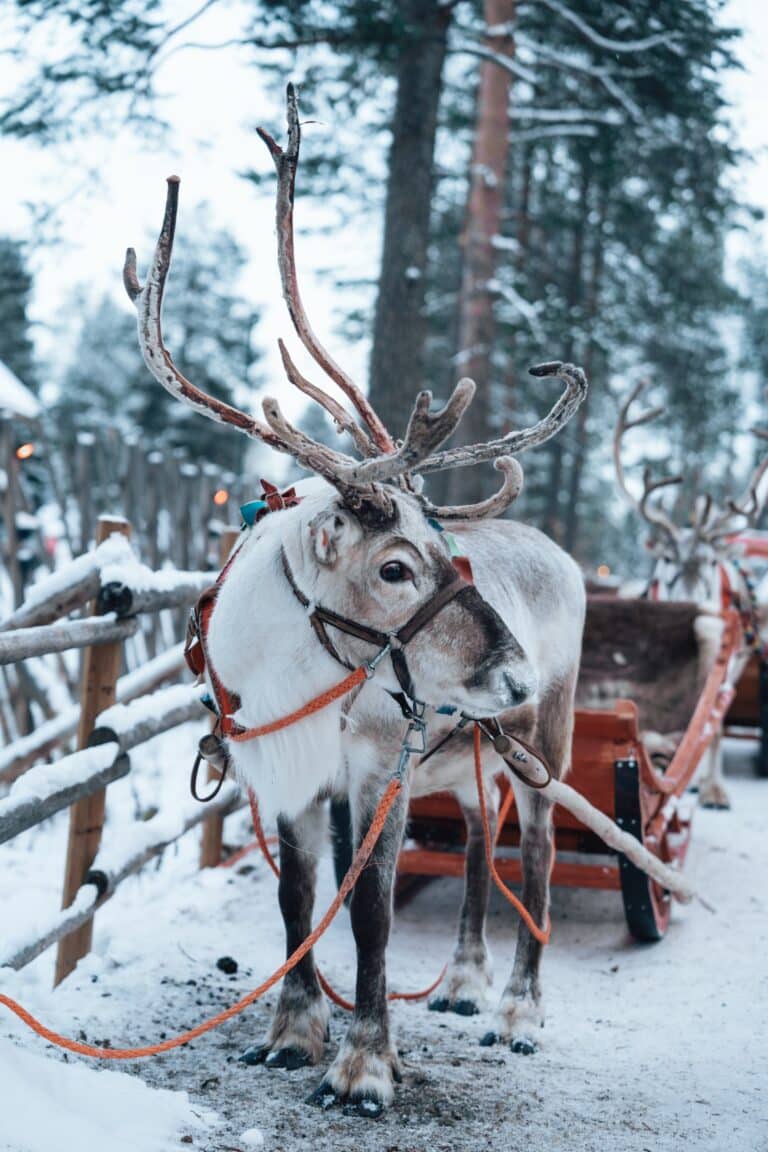 Finnish Lapland travel guide – How to plan the perfect trip